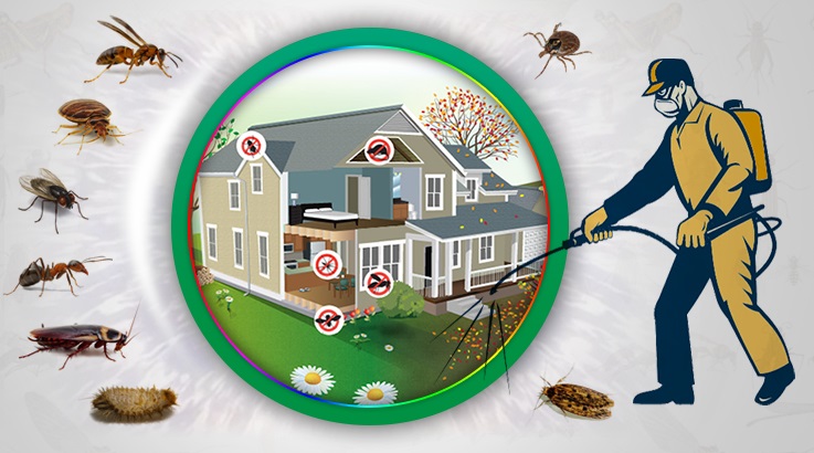 Bandırma Böcek İlaçlama